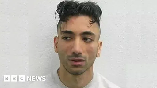 Jacky Jhaj: How was a paedophile able to hire Disneyland?