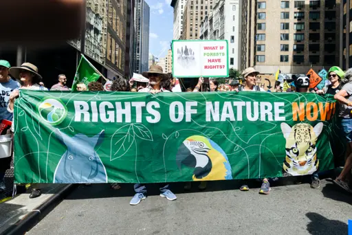 Six Things to Know about Rights of Nature - Legal Planet