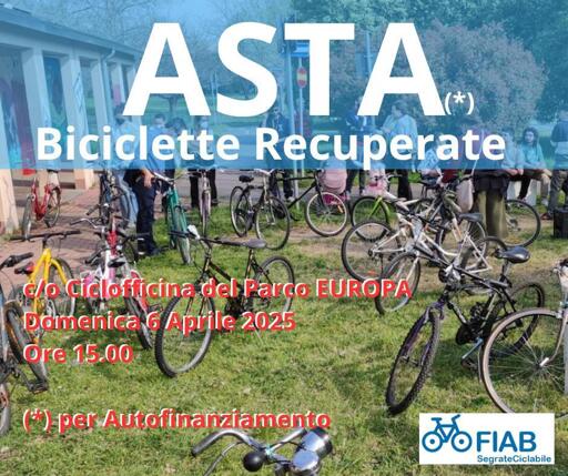 Volantino dell'asta. Sullo sfondo la foto di alcune bici su un prato. Le scritte in sovraimpressione riportano le stesse informazioni del toot
