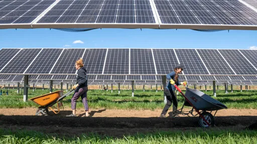 In the Southwest, solar panels can help both photovoltaics and crops