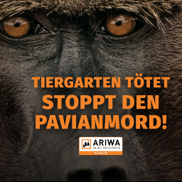Stoppt den Pavianmord