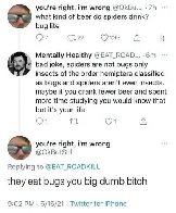 Spiders eat bugs. Bugs are bugs.