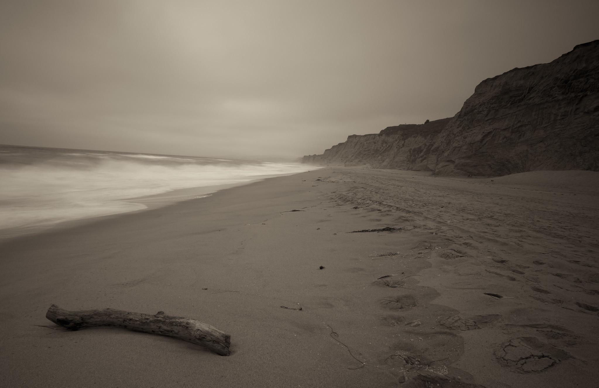 A beach on an overcast day. Small hill at right, water at left, a lone piece of driftwood in foreground.