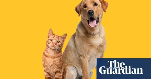 Owning dog or cat could preserve some brain functions as we age, study says