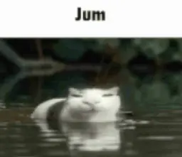 silly ass cat with the caption "jum"