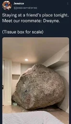 A social media post by Jessica @jessicamalonso, captioned "Staying at a friend's place tonight. Meet our roommate: Dwayne. (Tissue box for scale)". Dwayne is a large rock reaching up to the ceiling and two walls, with a tissue box next to it.